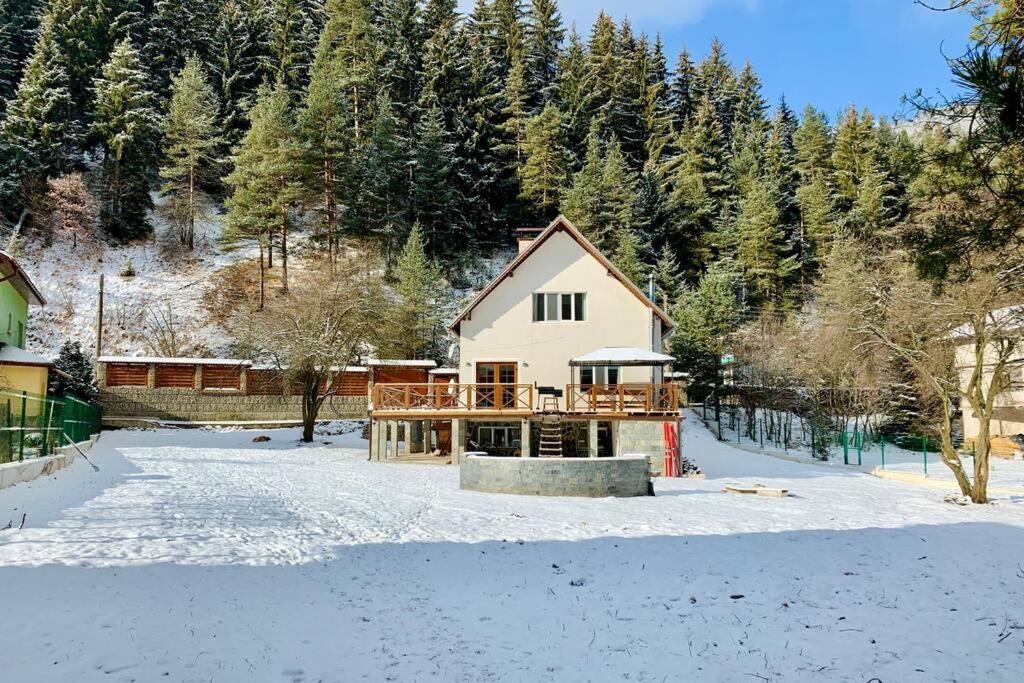 Villa Aquila بيلي اسكار المظهر الخارجي الصورة