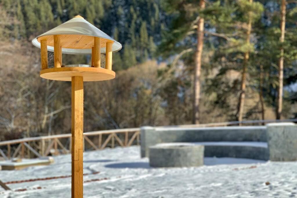 Villa Aquila بيلي اسكار المظهر الخارجي الصورة